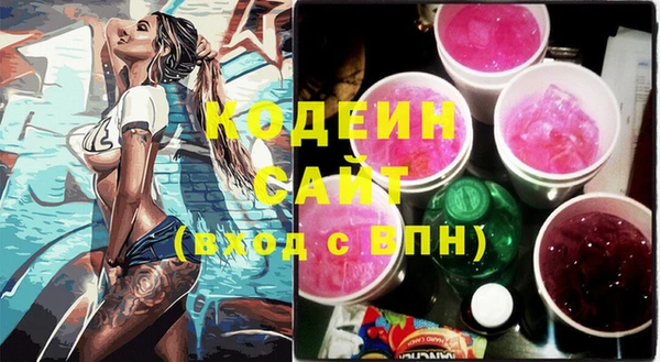 индика Абаза