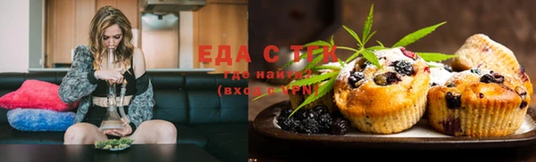 ECSTASY Алзамай
