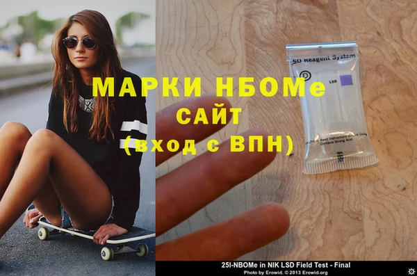 ECSTASY Алзамай